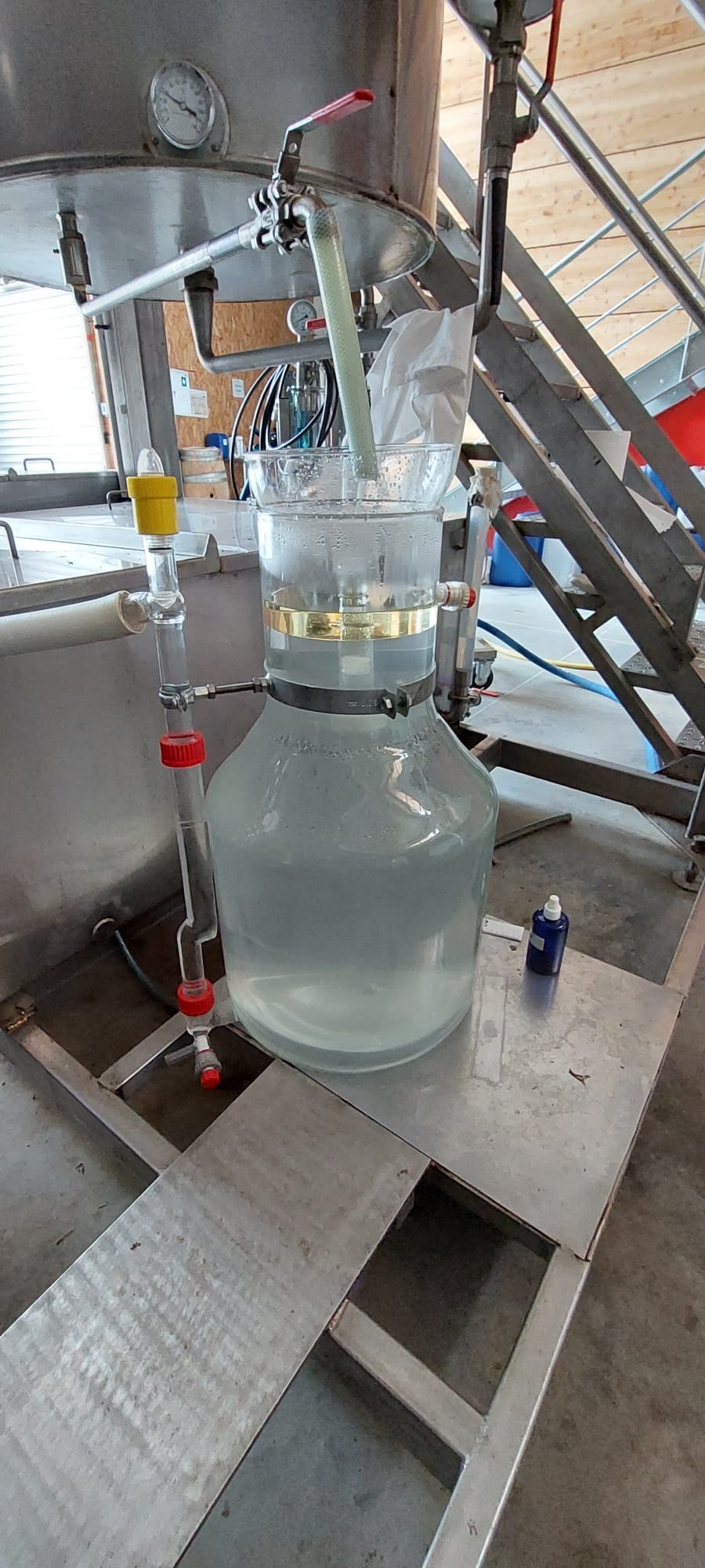 Decouvrez la distillation Hidrolato de Angélica (Raíz) 100% Orgánico y Artesanal