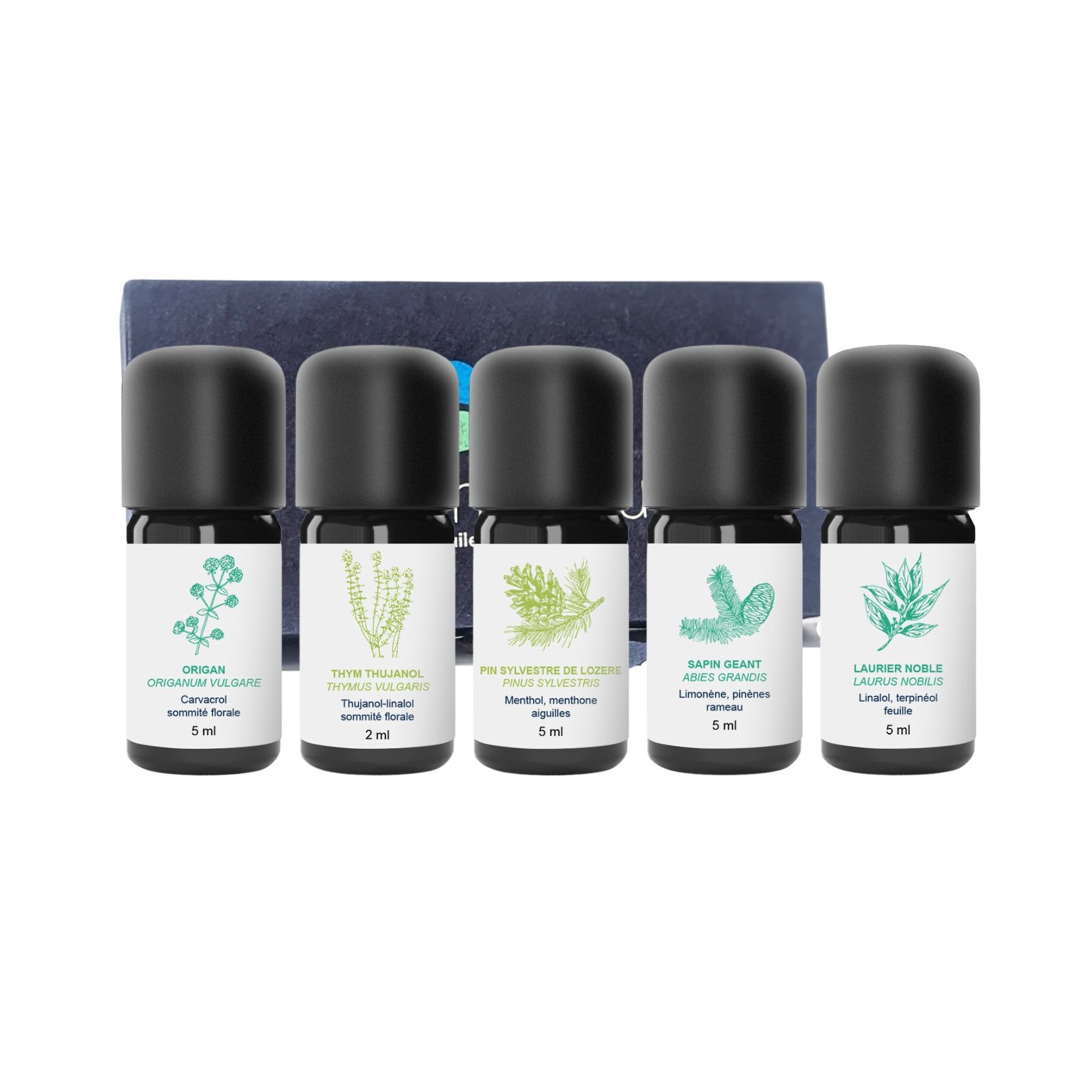 Kit de Aceites Esenciales Inmunitarios 100% Orgánicos y Artesanales
