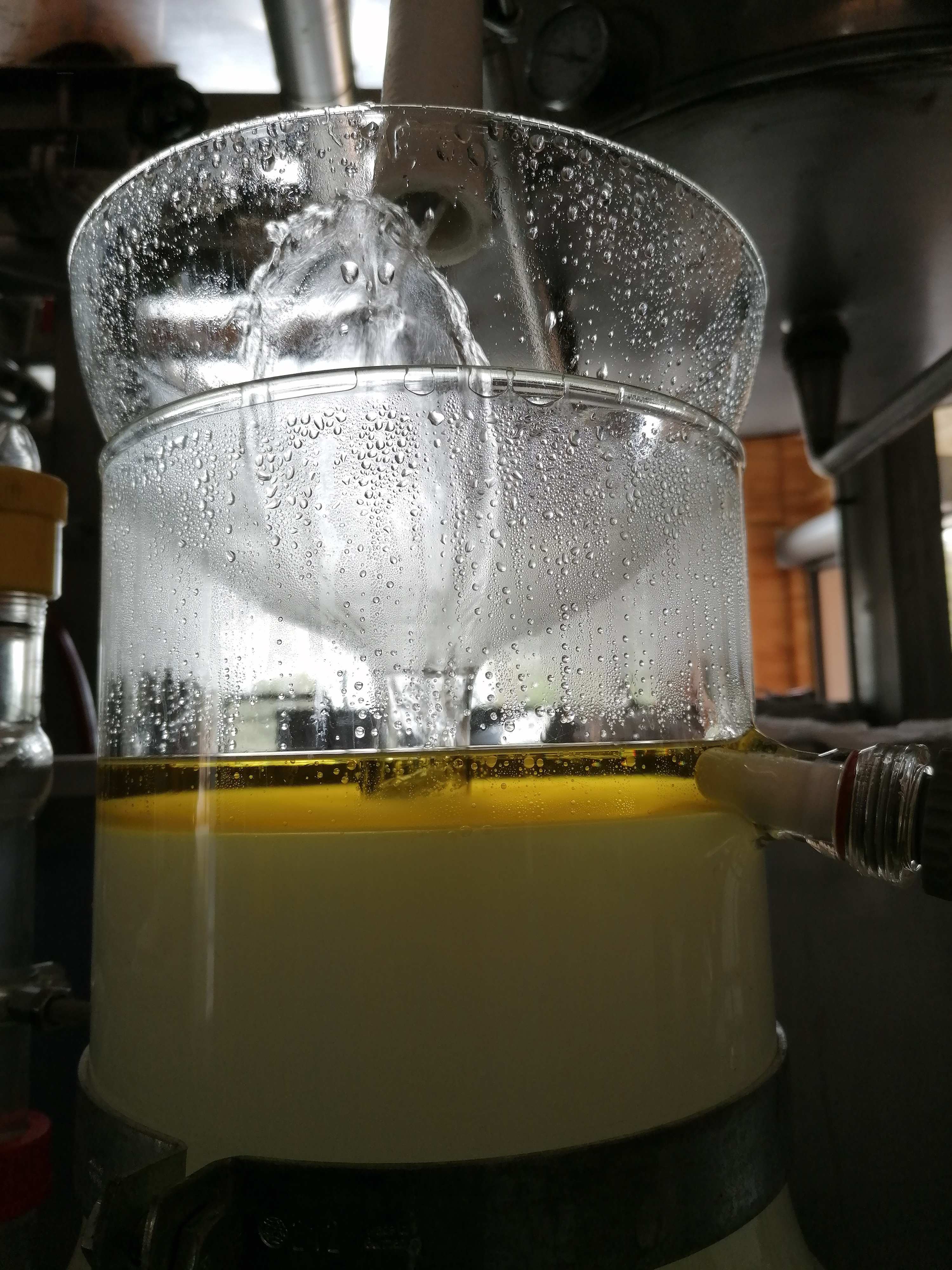 Decouvrez la distillation Aceite esencial de tomillo linalol 100% ecológico y artesanal