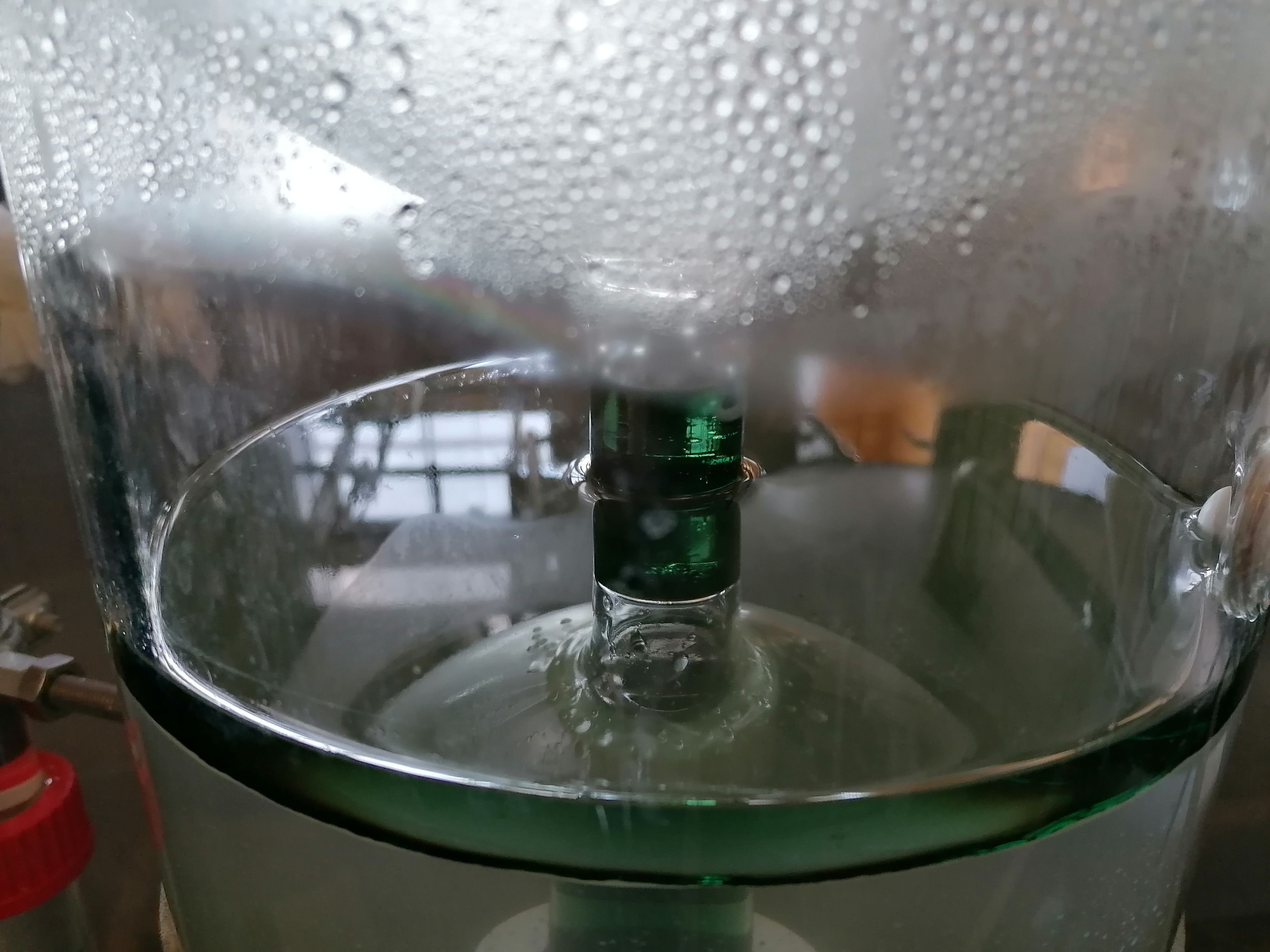 Decouvrez la distillation Aceite esencial de geranio rosa al bourbon 100% ecológico y artesanal