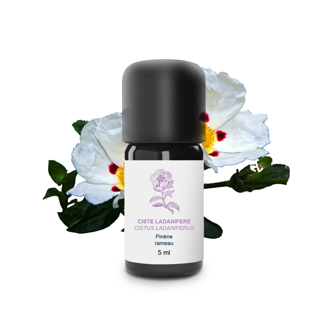 Aceite esencial de Cistus 100% ecológico y artesanal