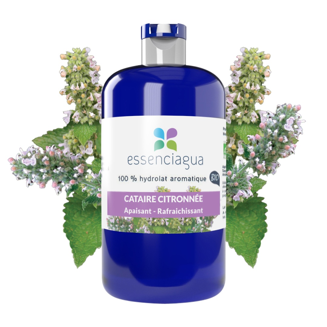 Catnip Limón Hydrolat 100% Ecológico y Artesanal