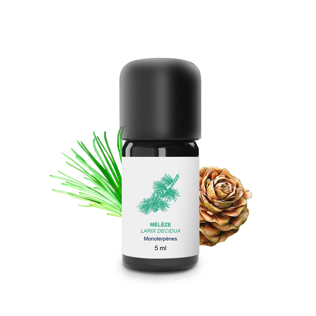 Aceite esencial de alerce 100% ecológico y artesanal