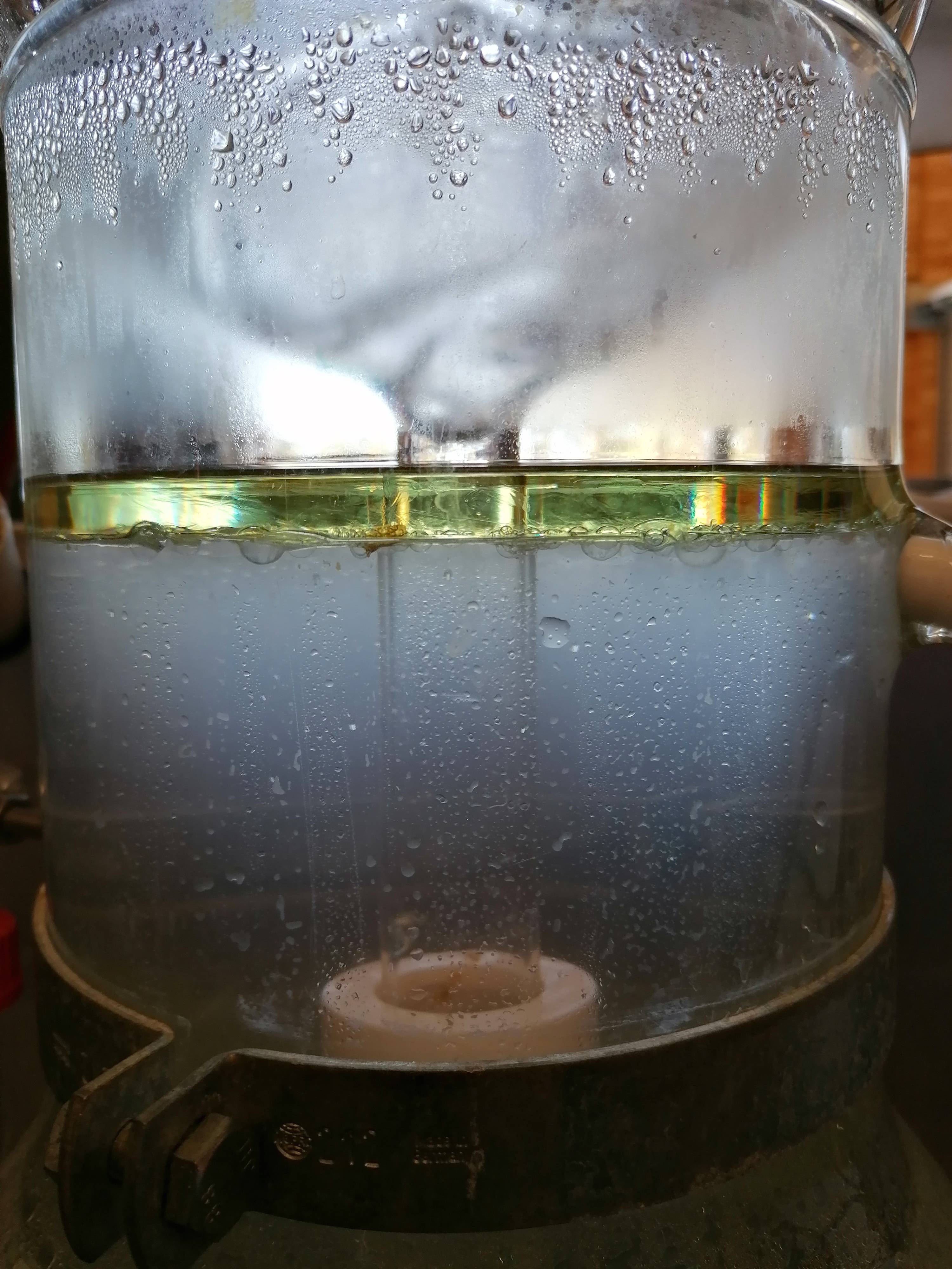 Decouvrez la distillation Aceite esencial de cedro del Atlas 100% ecológico y artesanal