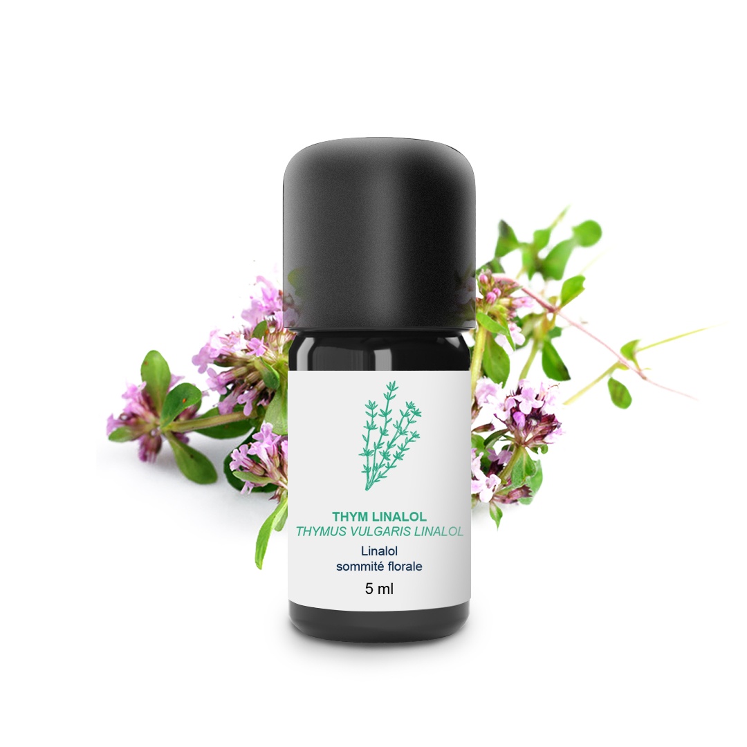 Aceite esencial de tomillo linalol 100% ecológico y artesanal