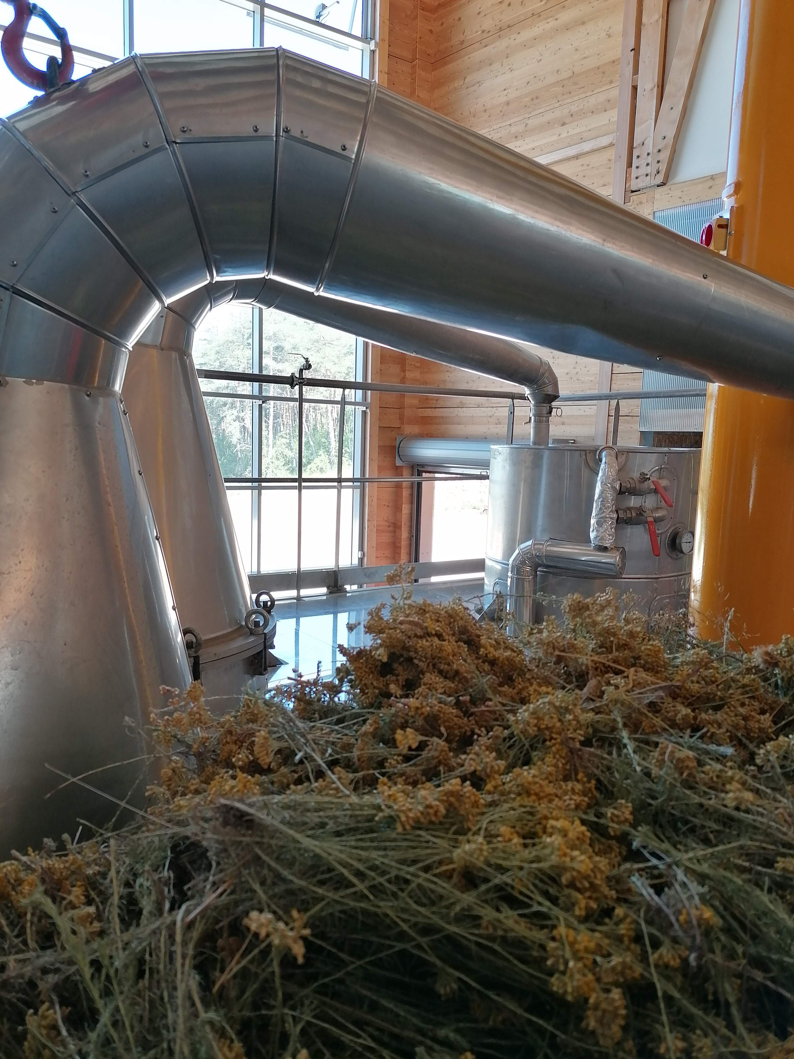 Decouvrez la distillation Aceite esencial de helicriso italiano 100% ecológico y artesanal