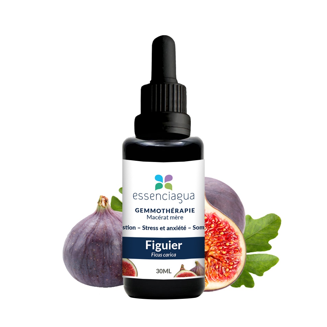 Macerado de yemas de higuera 100% ecológico y artesanal