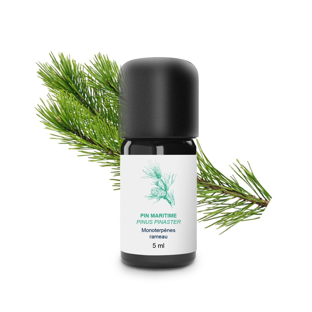 Aceite esencial de pino marítimo 100% ecológico y artesanal