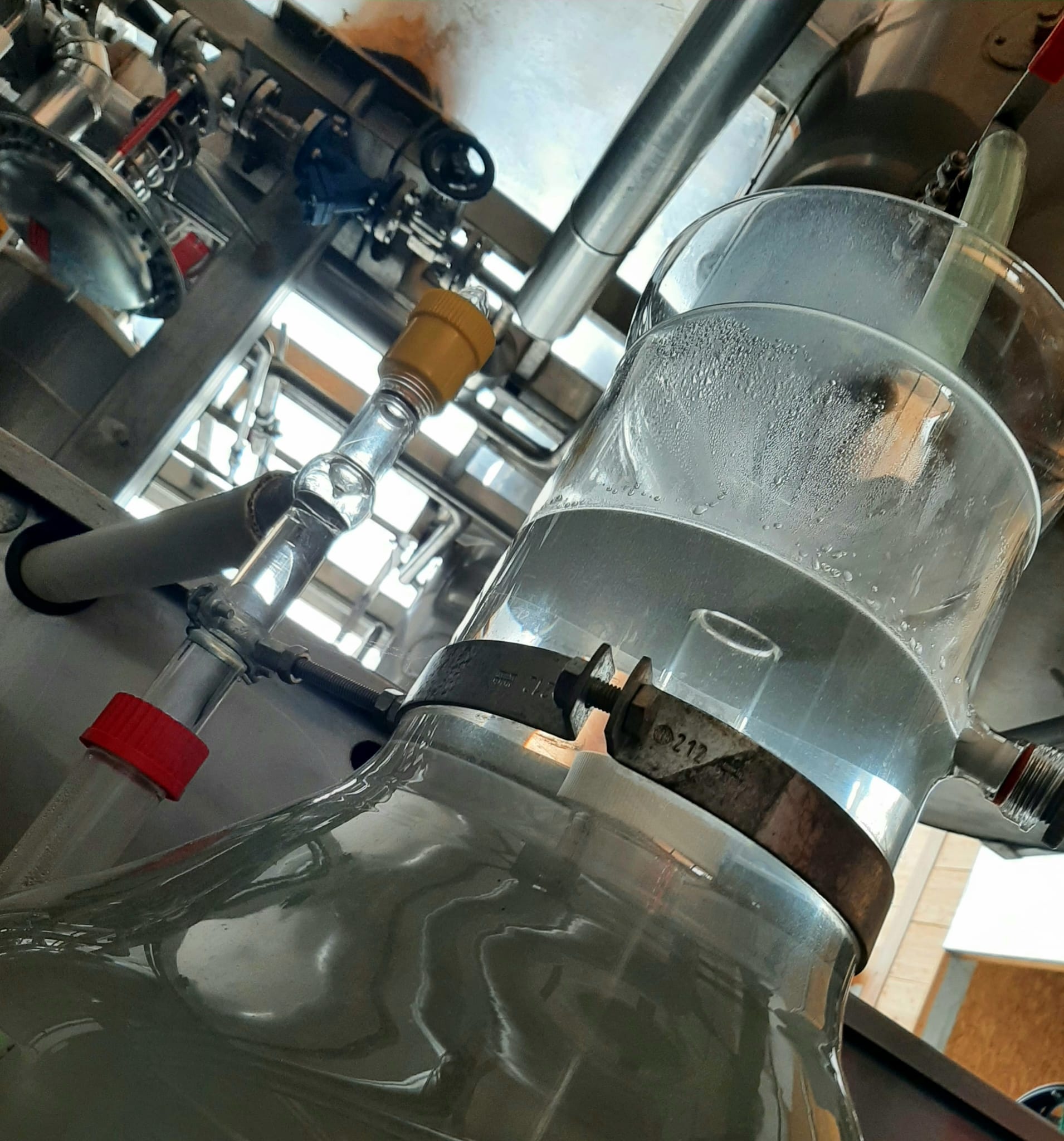 Decouvrez la distillation Hidrolato de aciano 100% ecológico y artesanal