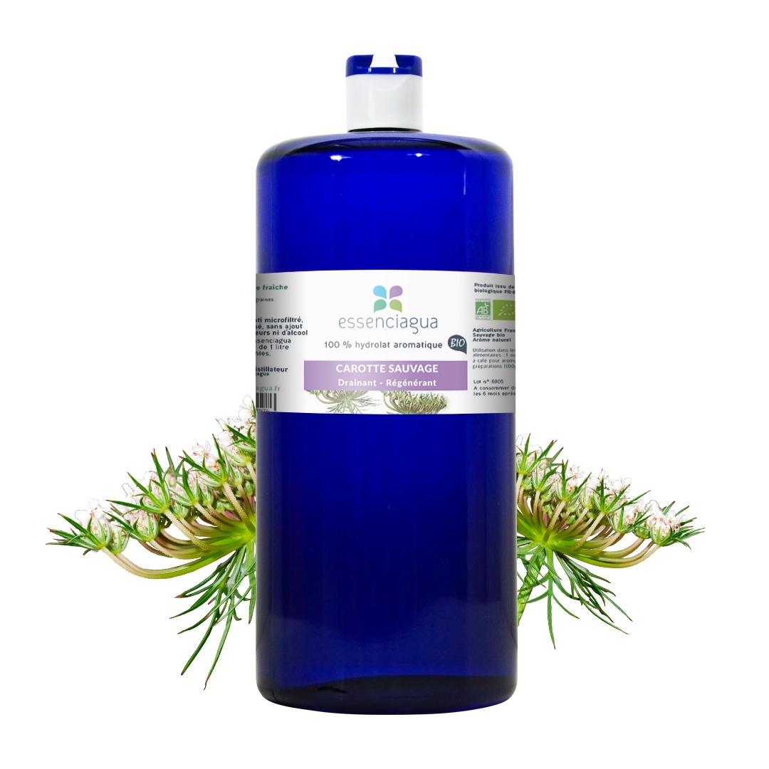 Hidrolato de zanahoria silvestre 100% ecológico y artesanal — photo 3