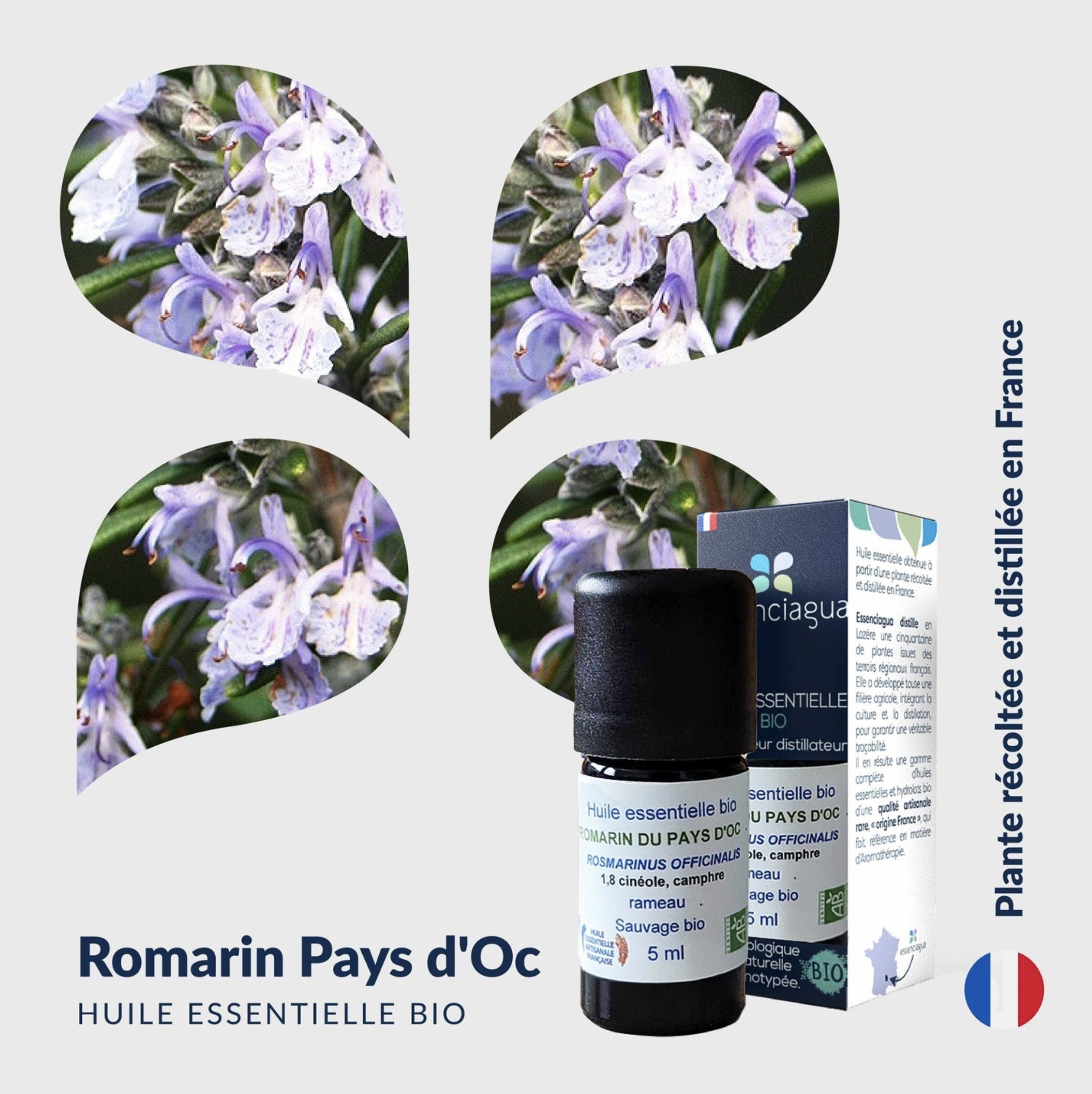 Aceite esencial de romero de Pays d'Oc