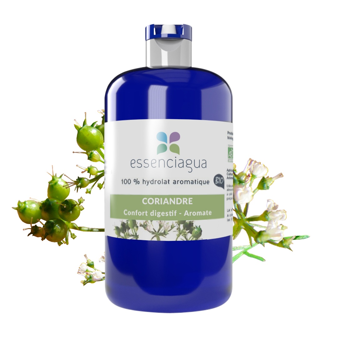 Hidrolato de Cilantro (Semillas) 100% Orgánico y Artesanal