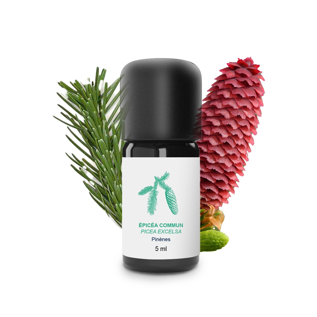 Aceite esencial de Epicea común 100% ecológico y artesanal