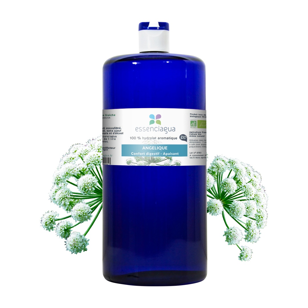 Hidrolato de Angélica (Raíz) 100% Orgánico y Artesanal — photo 3