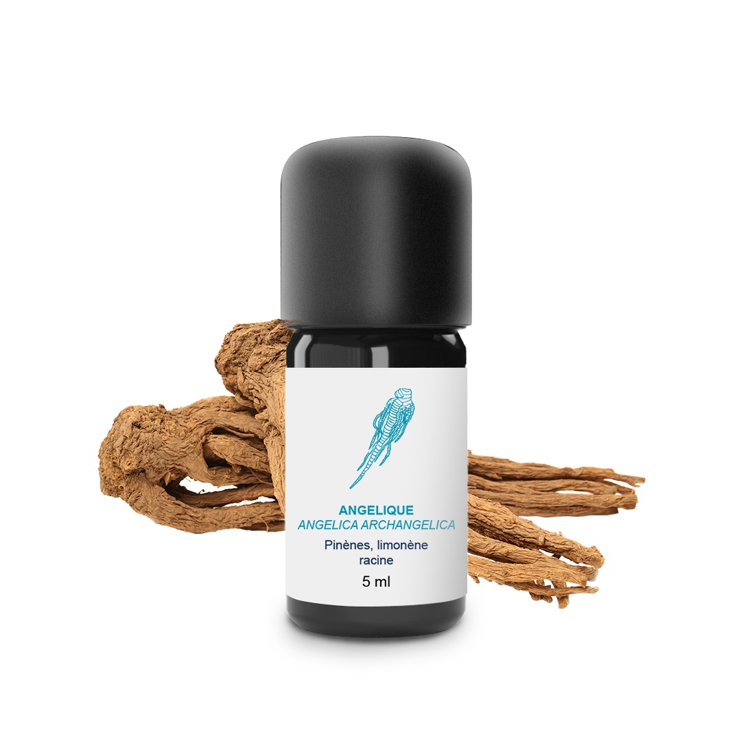 Aceite esencial de angélica (raíz) 100% orgánico y artesanal
