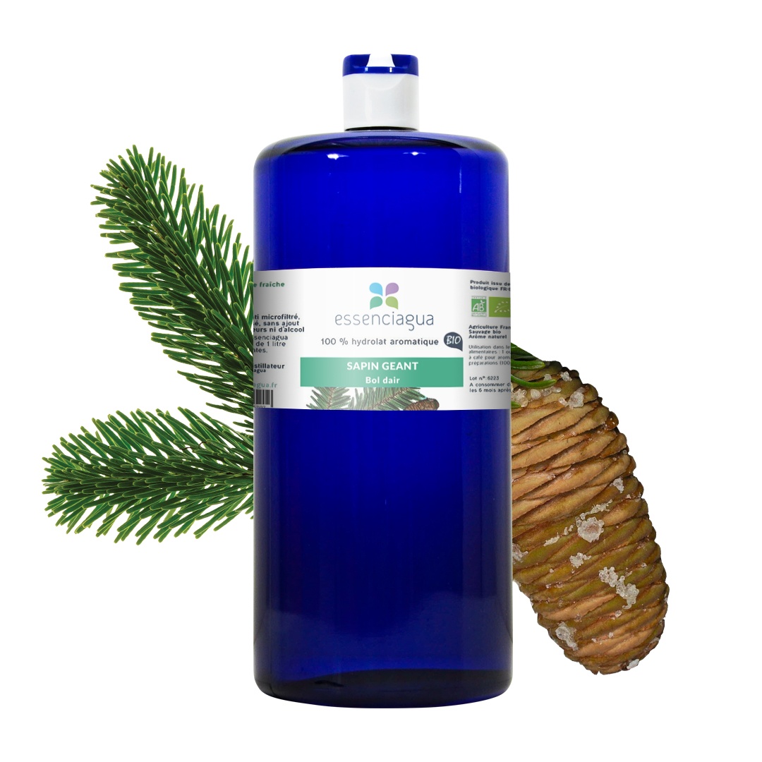Hidrolato de abeto gigante 100% ecológico y artesanal — photo 3