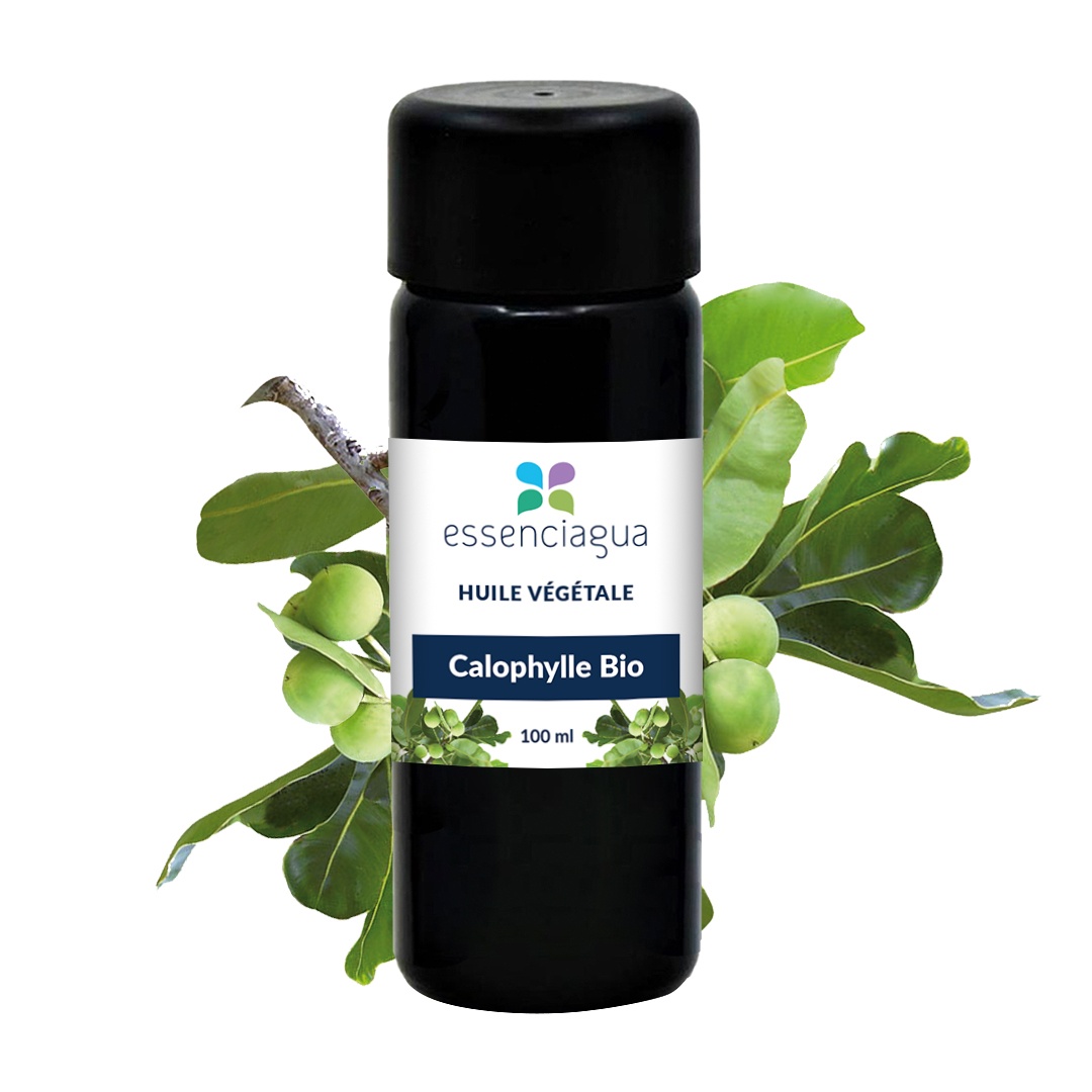 Aceite vegetal Calophylla
