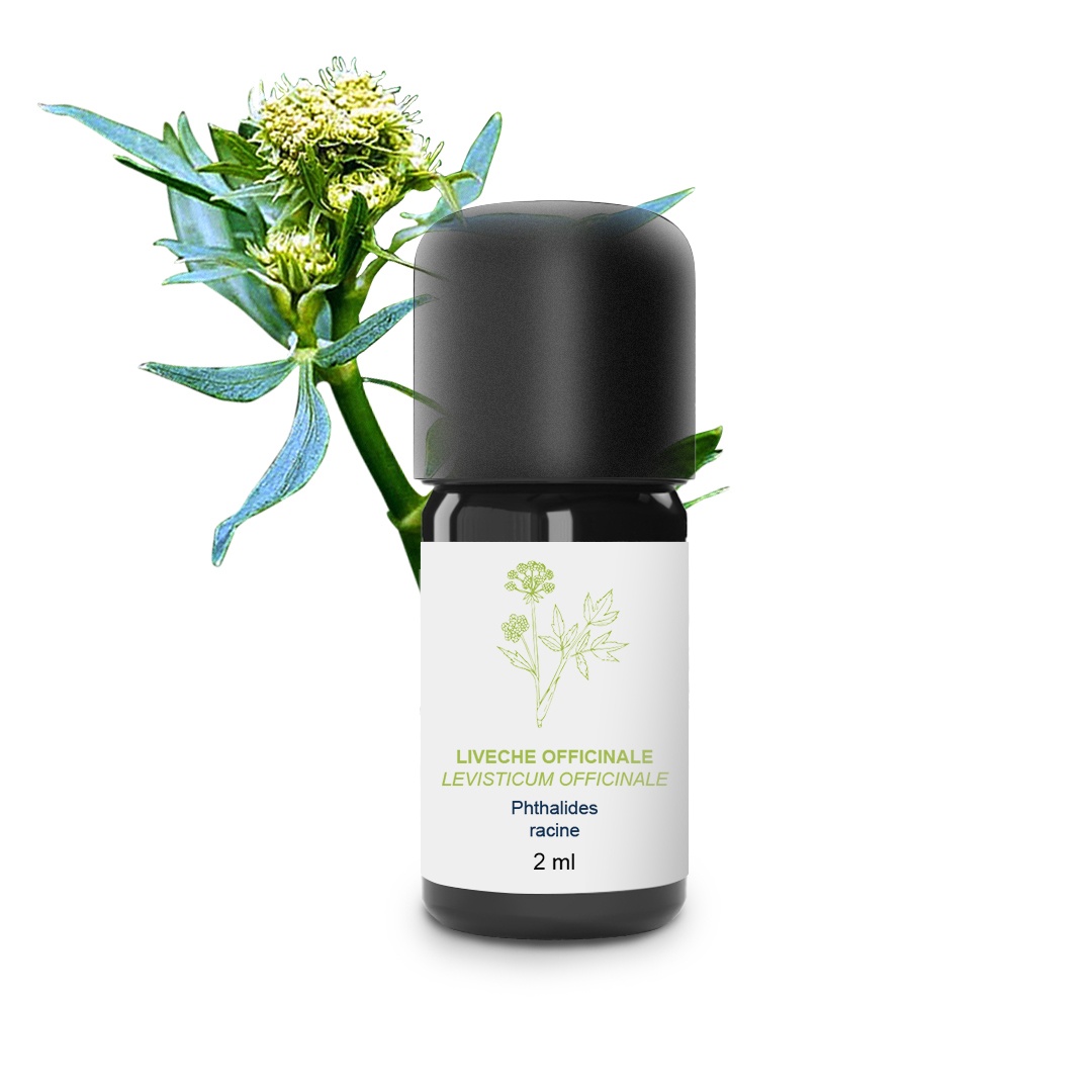 Aceite esencial de levístico (raíz) 100% ecológico y artesanal