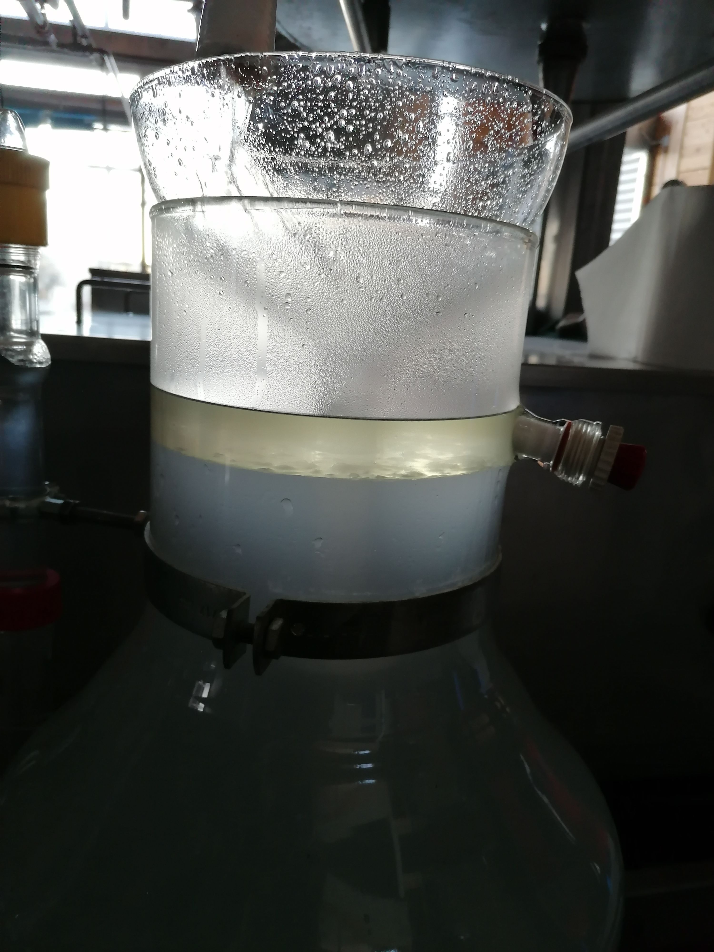 La destilación de Pino silvestre