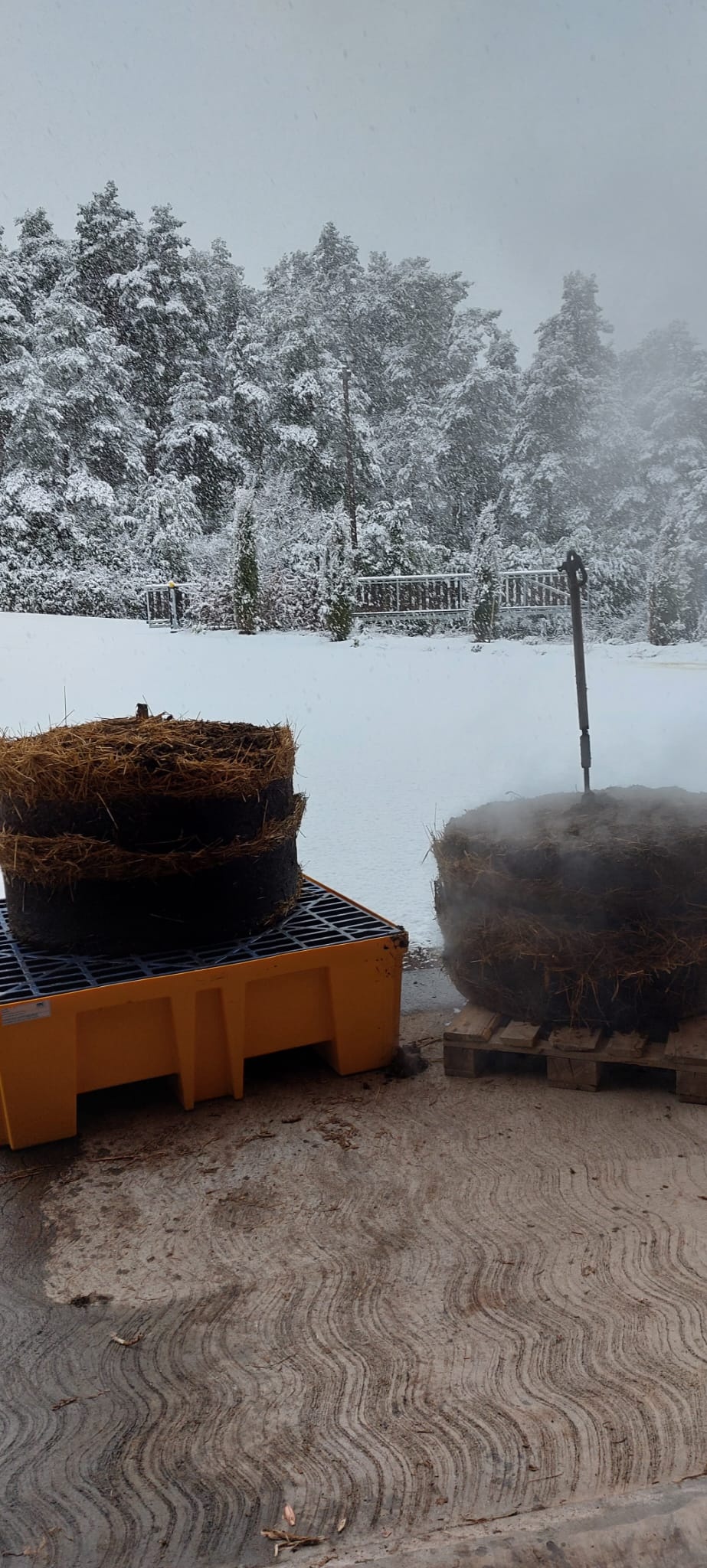 Decouvrez la distillation Hidrolato de Angélica (Raíz) 100% Orgánico y Artesanal