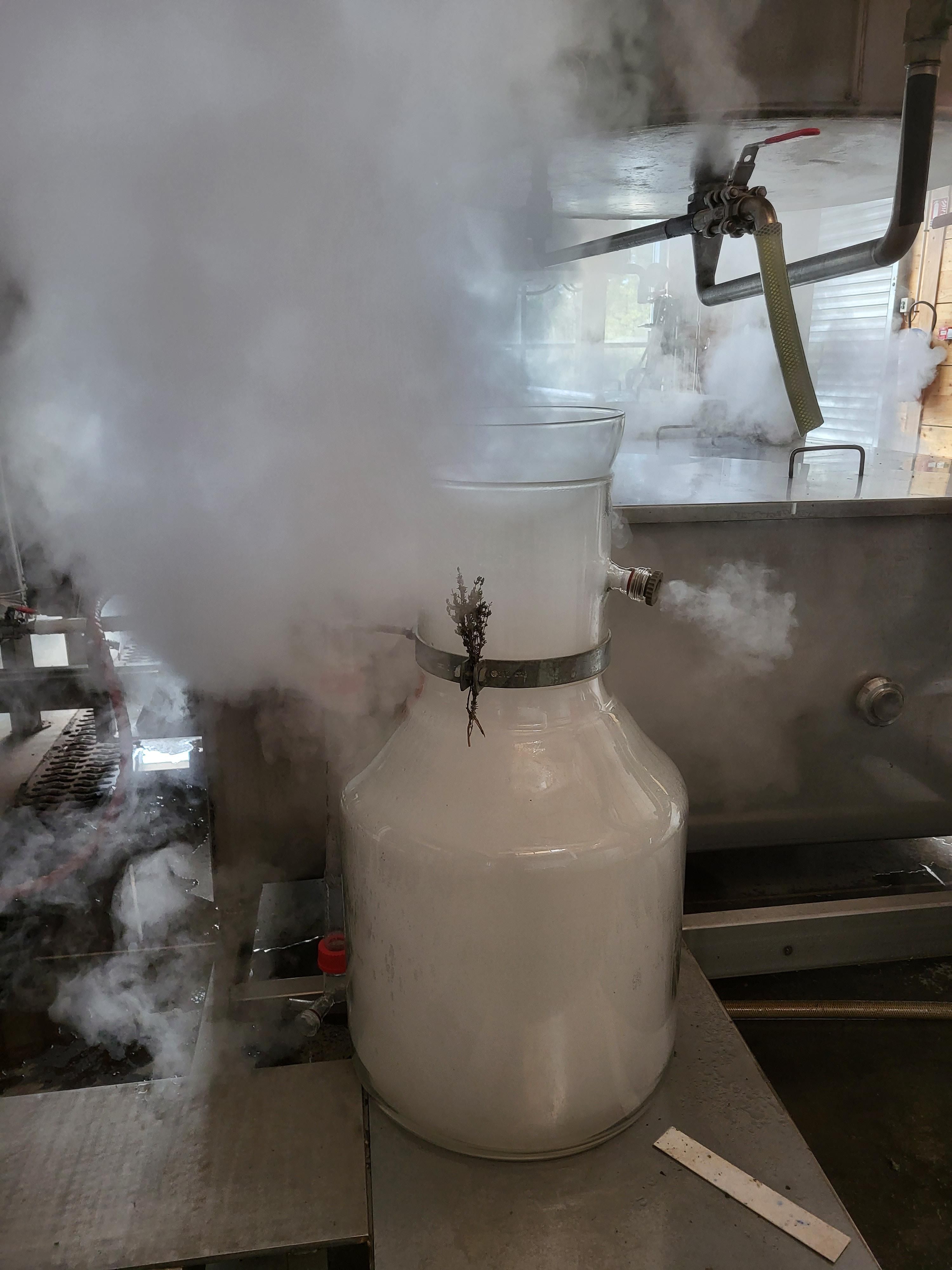Decouvrez la distillation Aceite Esencial de Tomillo Thymol 100% Ecológico y Artesanal