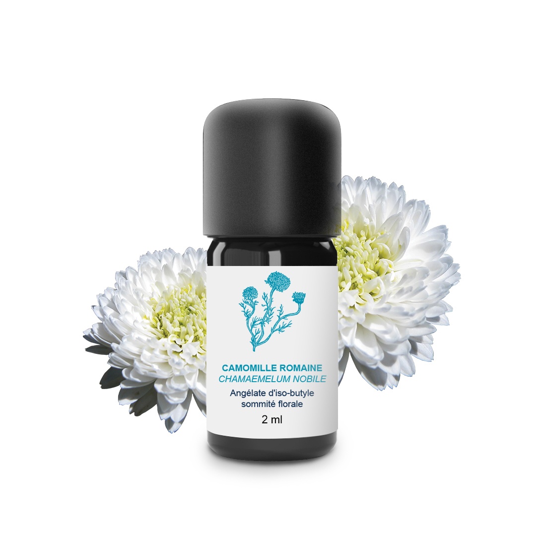 Aceite esencial de manzanilla romana 100% ecológico y artesanal