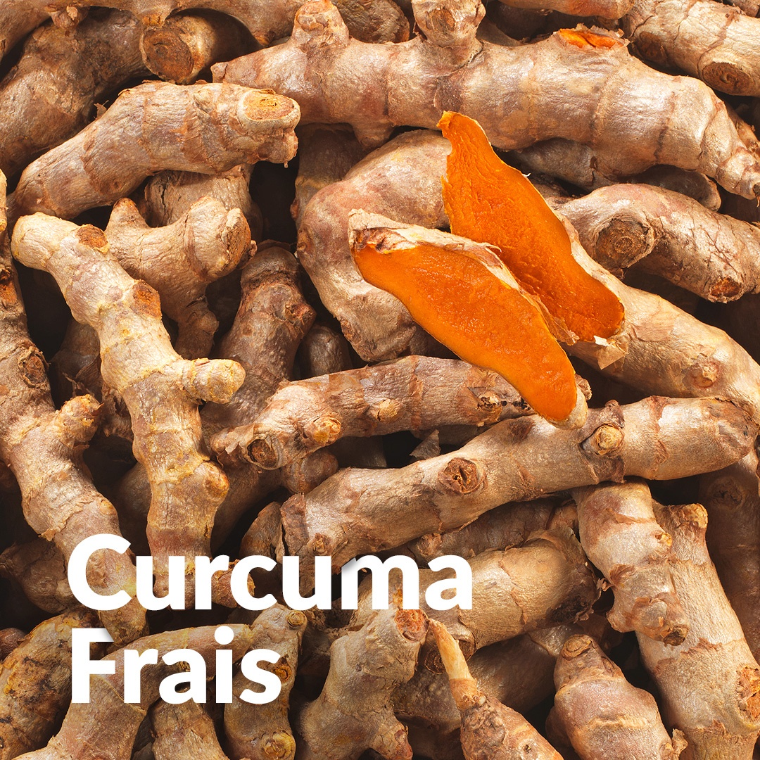 Cúrcuma (rizoma)