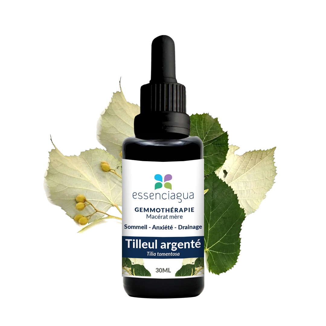 Macerado de yemas de tilo plateado 100% ecológico y artesanal